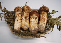 贈答用 150~200g前後入り