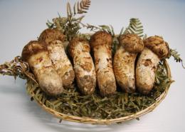 贈答用 250~300g前後入り