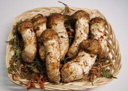 贈答用 400~450g前後入り